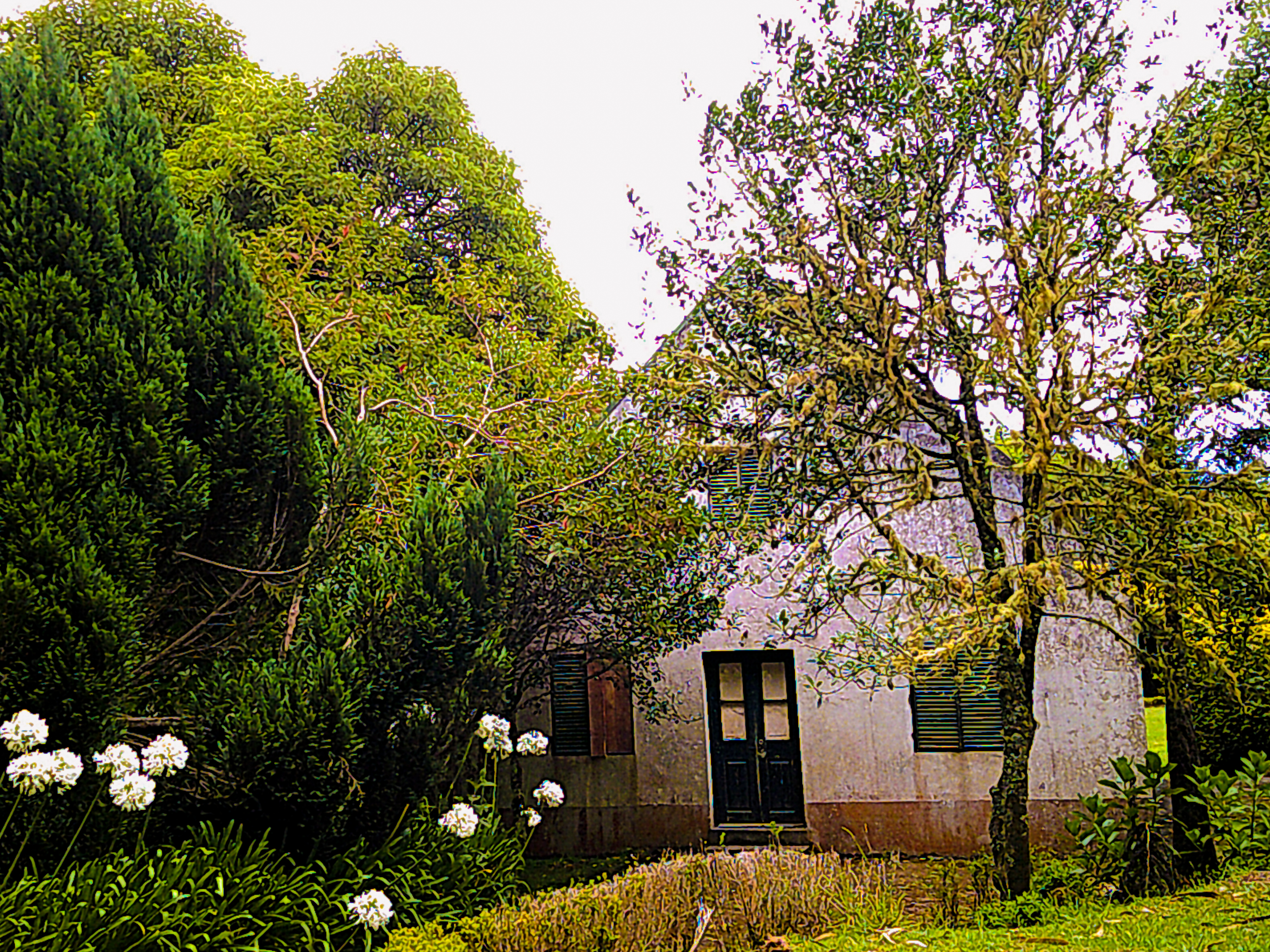 Jardim Municipal Santo António Da Serra