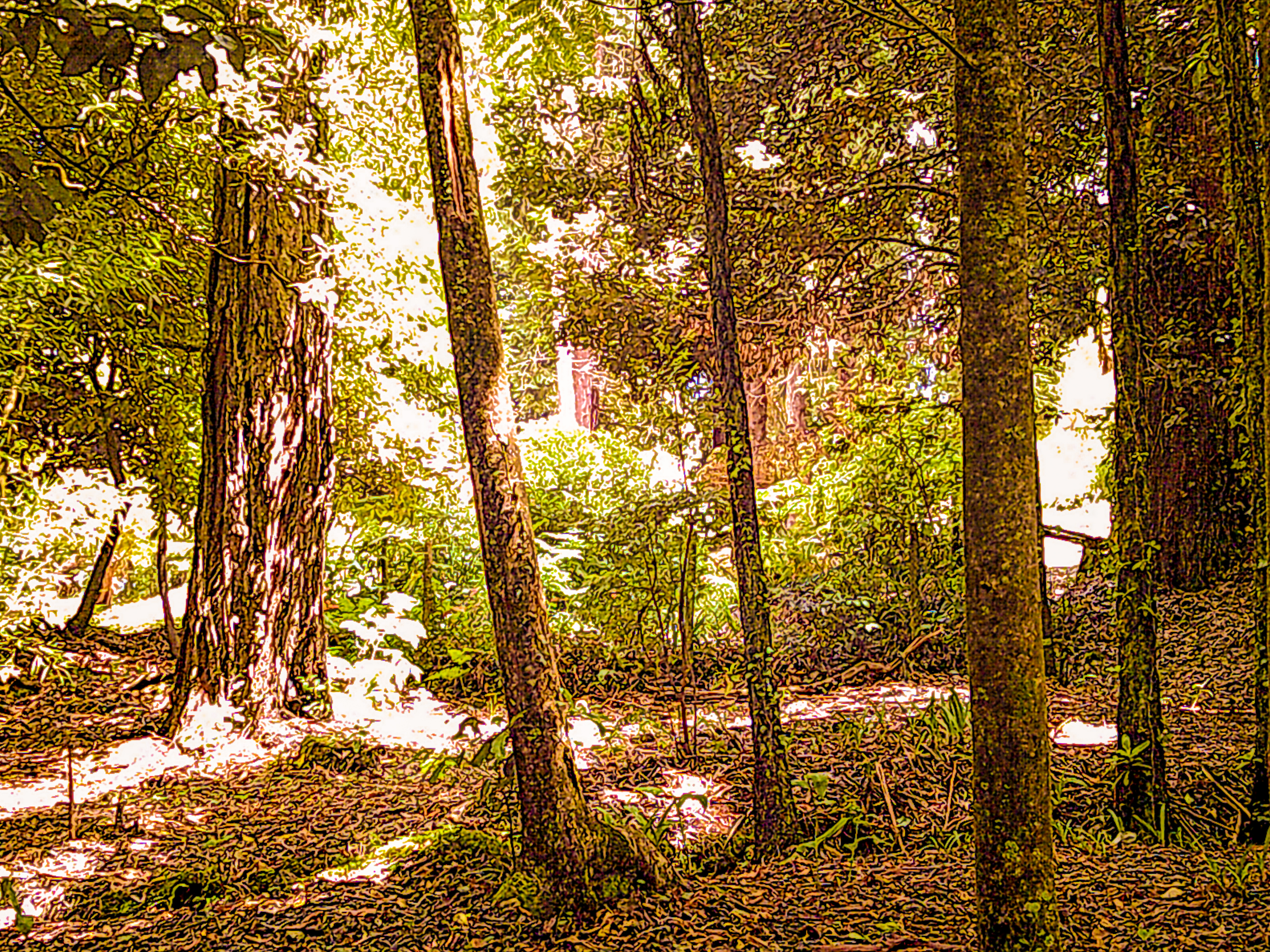 Jardim Municipal Santo António Da Serra