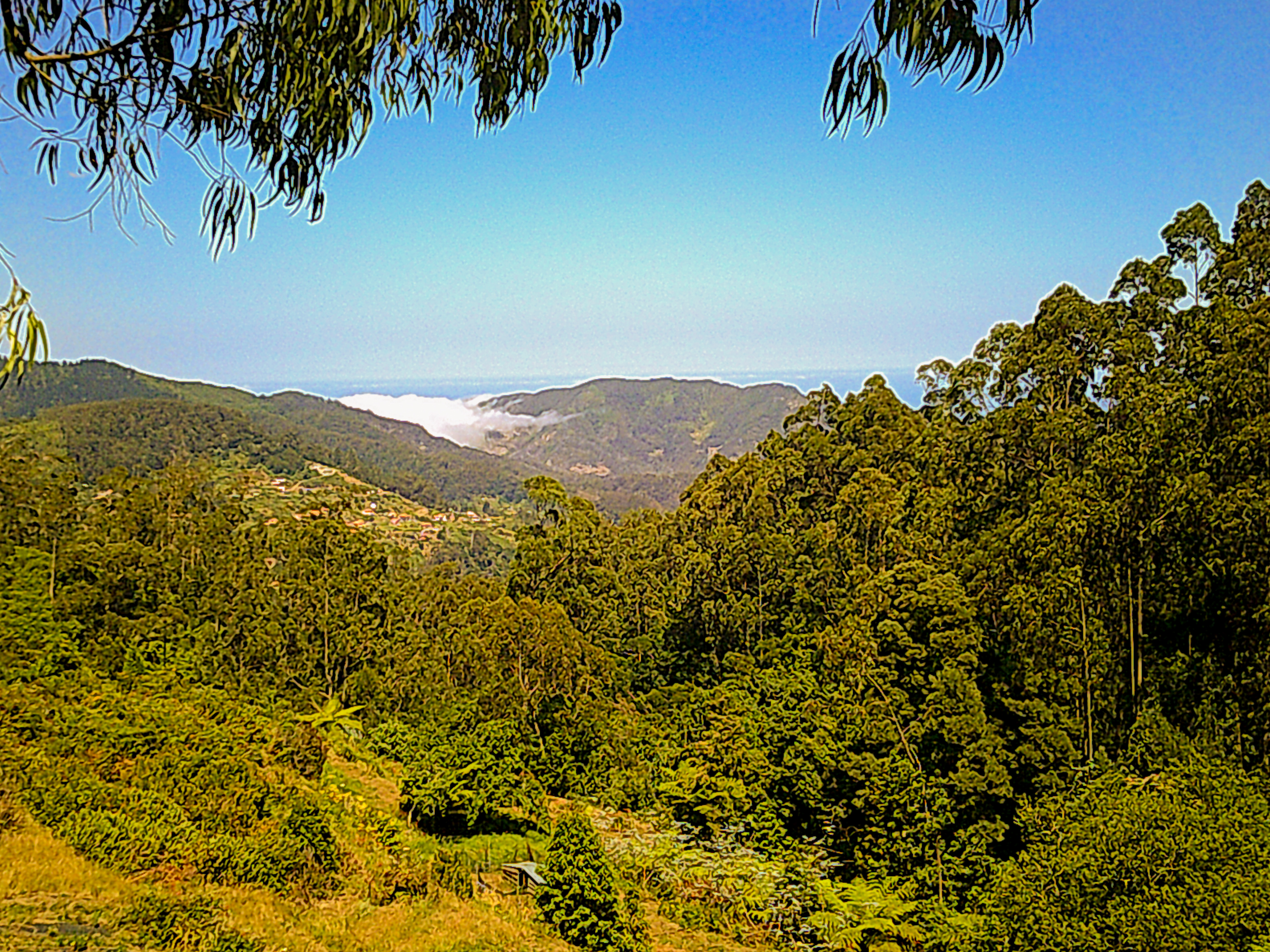 Santo António Da Serra