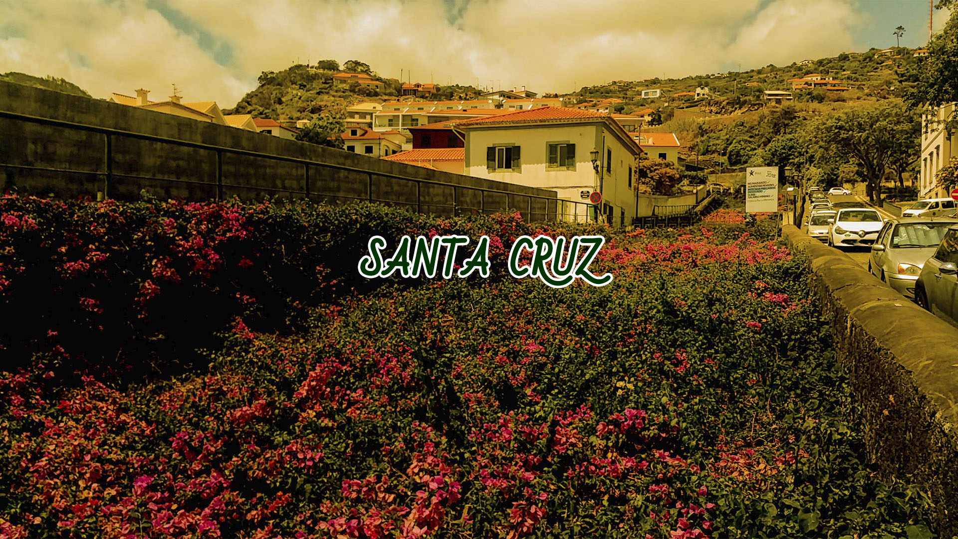 Santa Cruz Capa